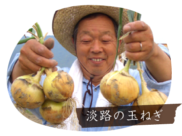淡路の玉ねぎ